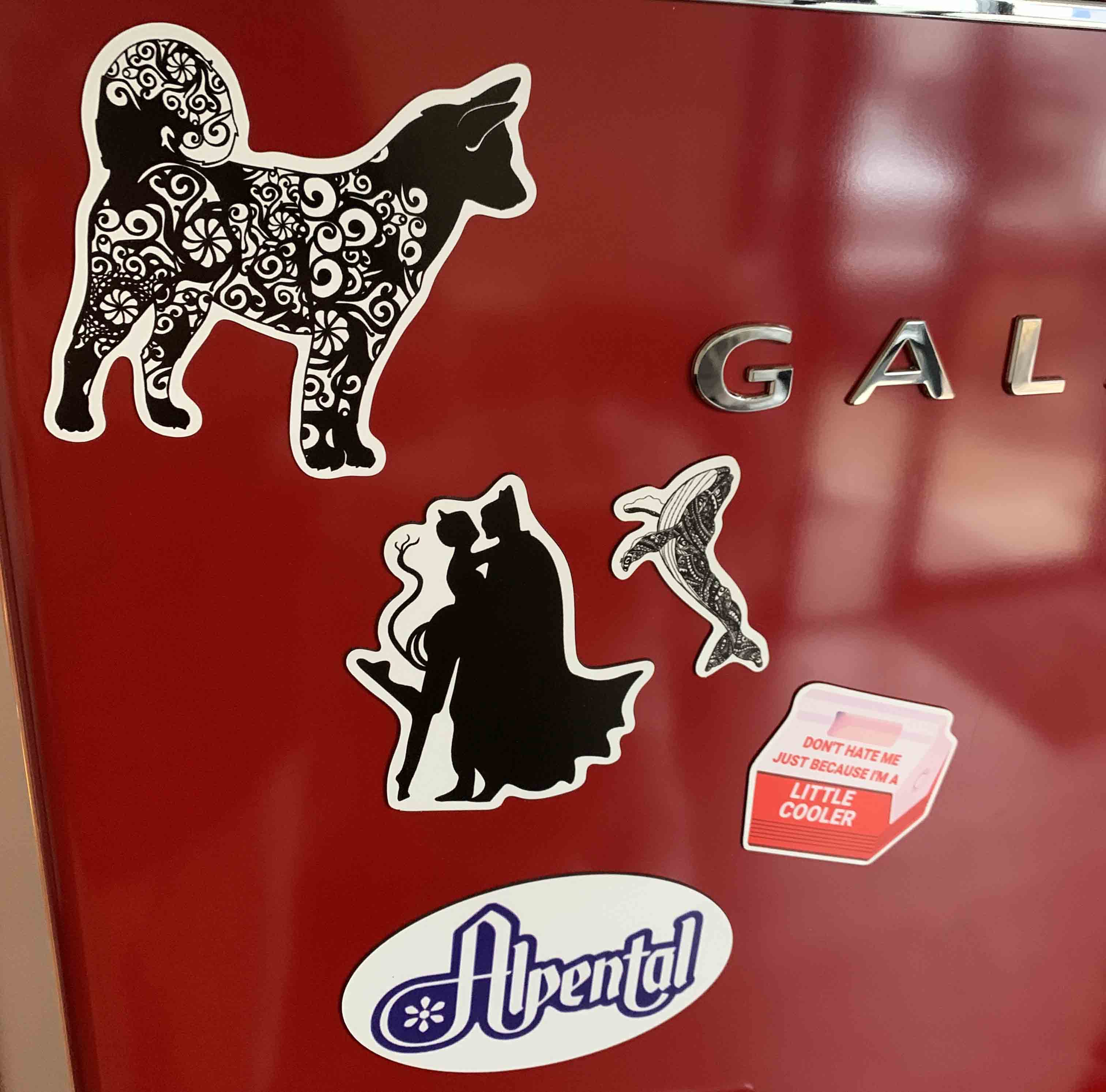 Our Fridge Never Looked Cooler