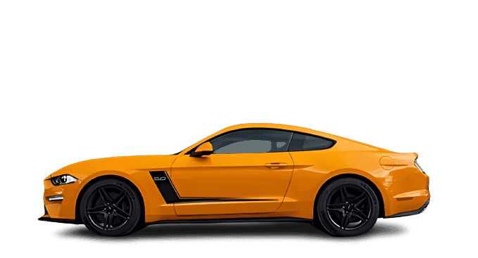 Custom Mustang Decals